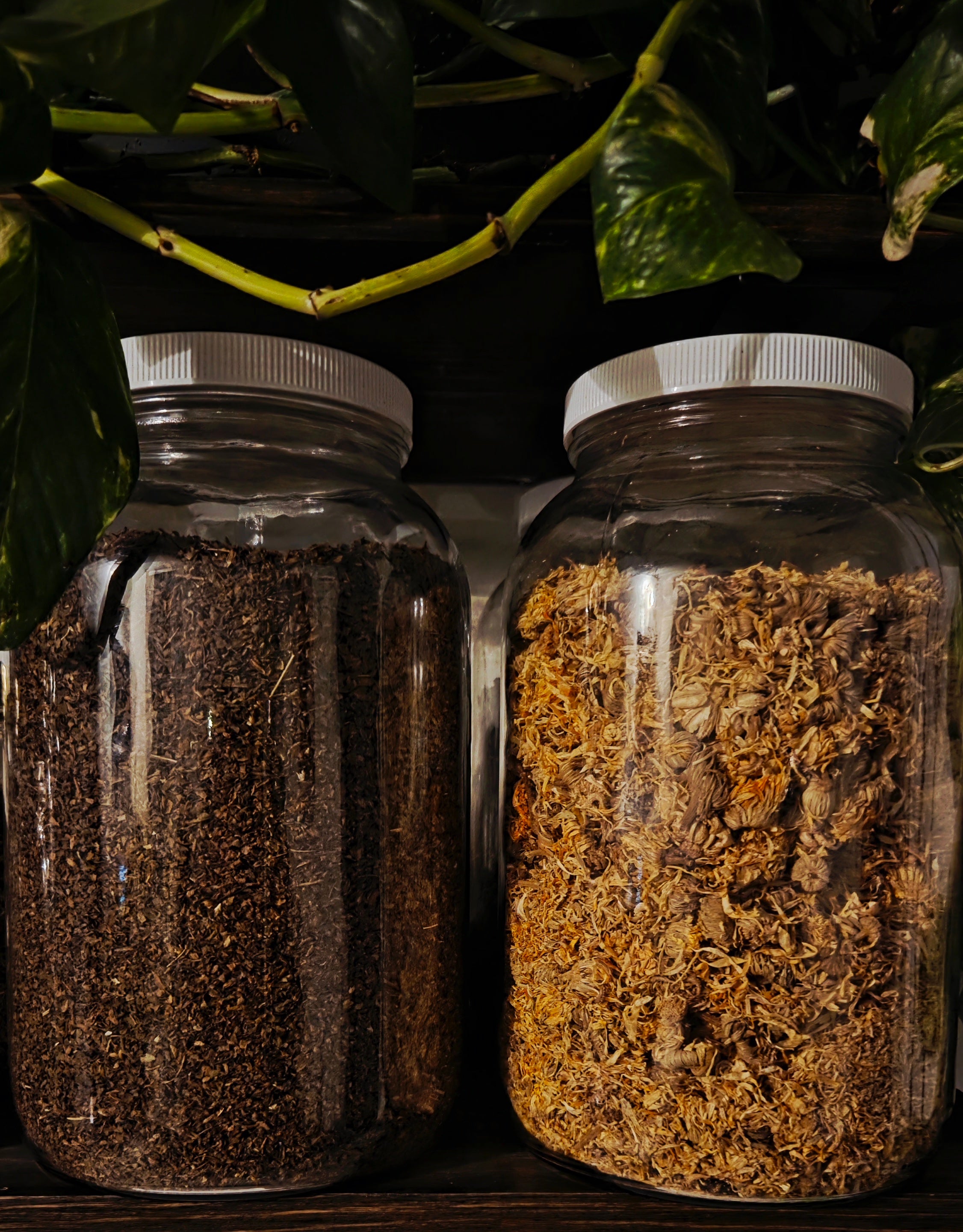 Custom Herbal Tea Blends